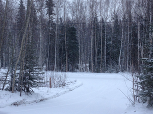 Winter and Breakup Snapshots from North Pole, Alaska