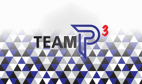 Team P3