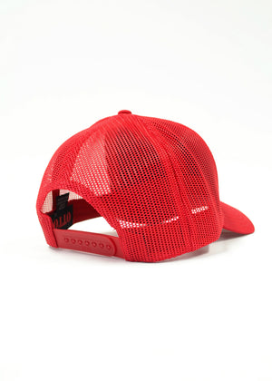 Gorra de camionero 35 años de resistencia, edición limitada.