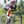 Men's Riviera Tri Short - Sale