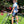 Culotte de ciclismo 400-Mile™ para mujer