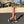 Women’s Micro Tri Short - Sale